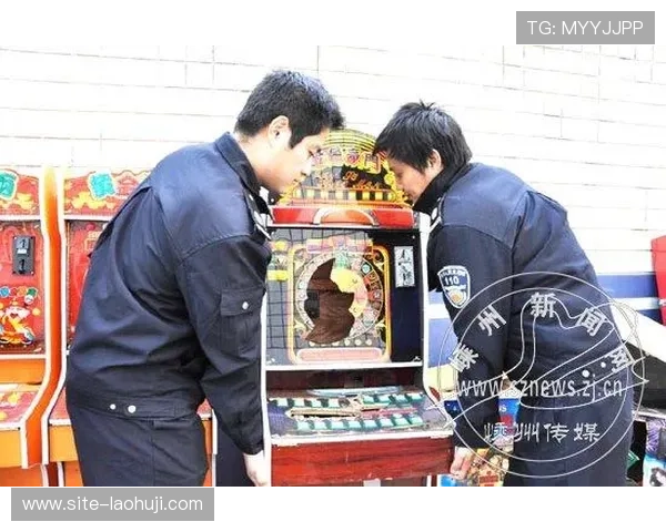 如何判断老虎机是否属于赌博行为的认定标准详尽指南